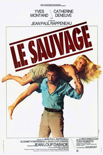Poster de O Selvagem