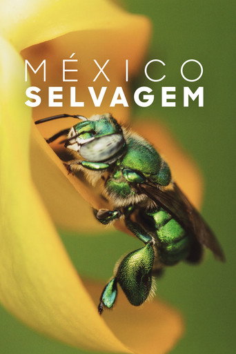 Poster de México Selvagem