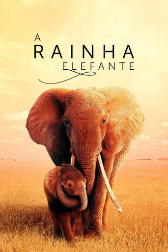 Poster de The Elephant Queen