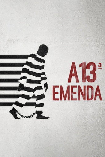 Poster de A 13ª Emenda