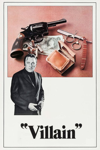 Poster de O Vilão