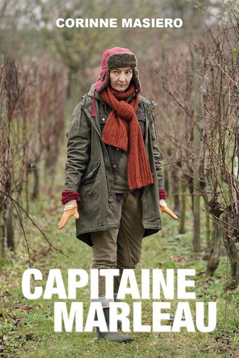 Assistir Capitaine Marleau online dublado e legendado