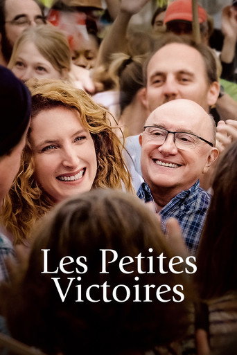 Poster de The Small Victories