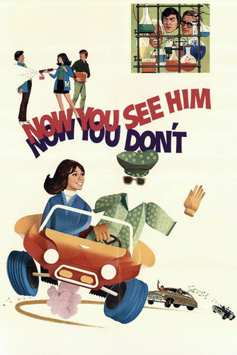 Poster de Loucuras Invisíveis