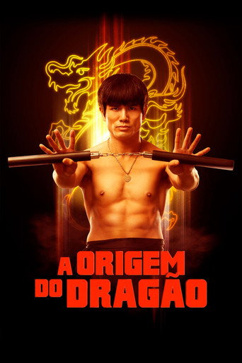 Poster de A Origem do Dragão