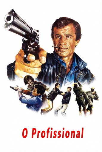 Poster de O Profissional