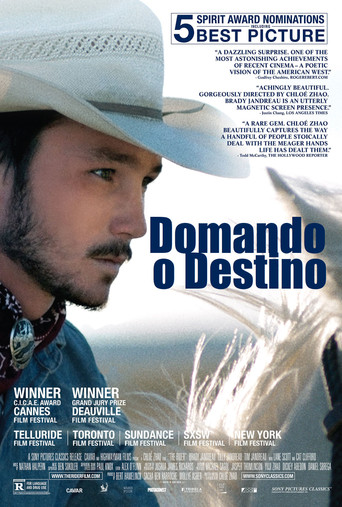 Poster de Domando o Destino