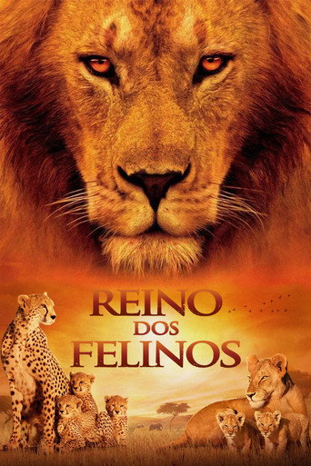 Poster de Reino dos Felinos