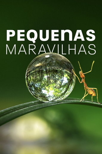 Poster de Pequenas Maravilhas