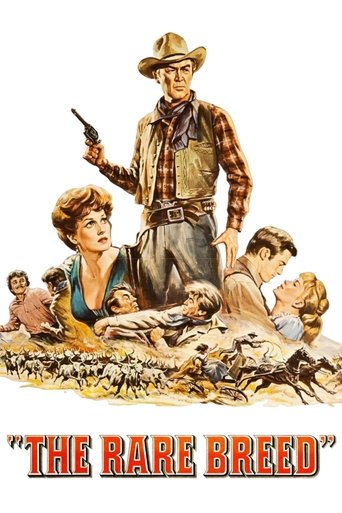 Poster de Raça Brava