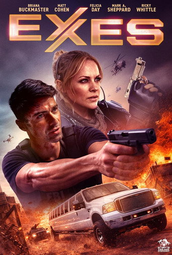 Poster de Exes
