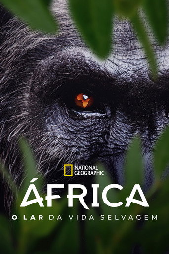 Poster de África: O Lar da Vida Selvagem