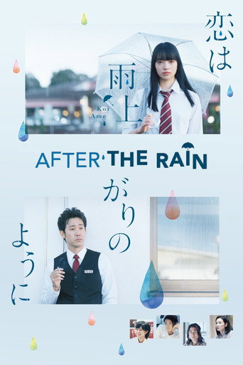 Poster de After The Rain