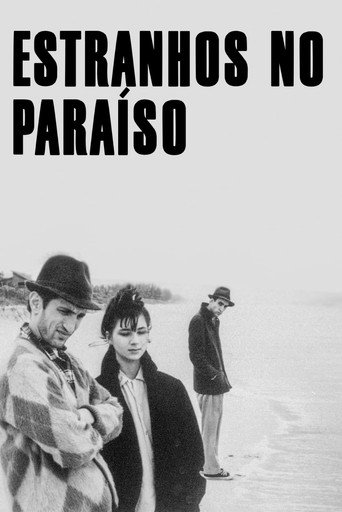 Poster de Estranhos no Paraíso