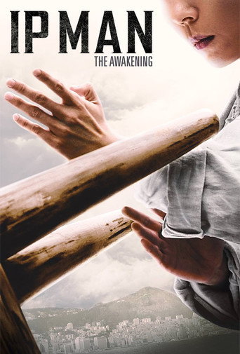 Poster de Ip Man: The Awakening