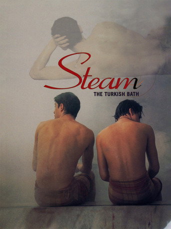 Poster de Steam: The Turkish Bath