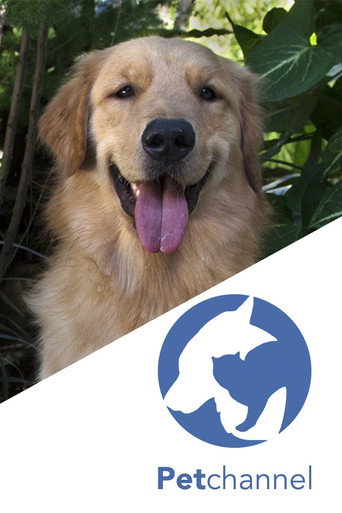 Poster de Pet Channel