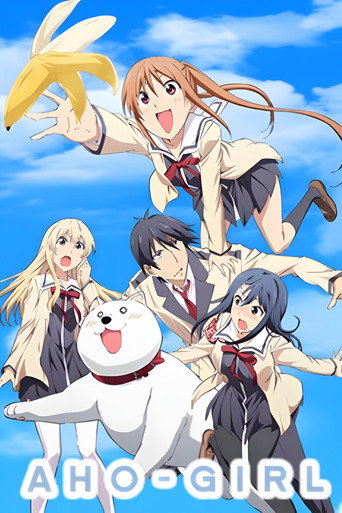 Poster de AHO-GIRL