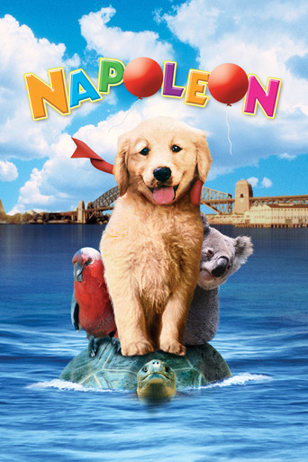 Poster de Napoleon - As Aventuras de um Cãozinho Valente