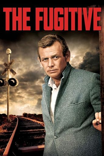 Poster de O Fugitivo