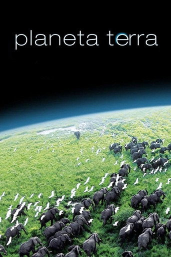 Poster de Planeta Terra