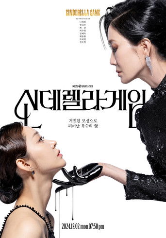 Poster de O Jogo da Cinderela