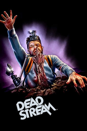 Poster de Deadstream