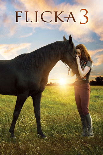 Poster de Flicka 3