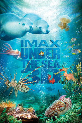 Poster de Um Mar de Aventuras