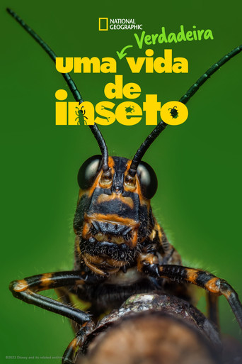 Poster de Uma Verdadeira Vida de Inseto