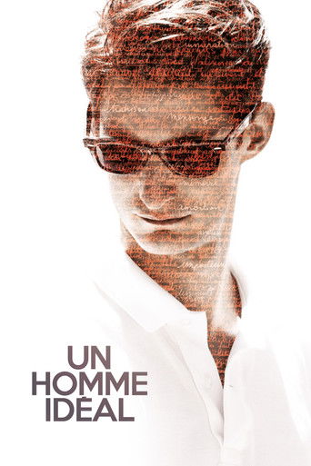 Poster de A Perfect Man