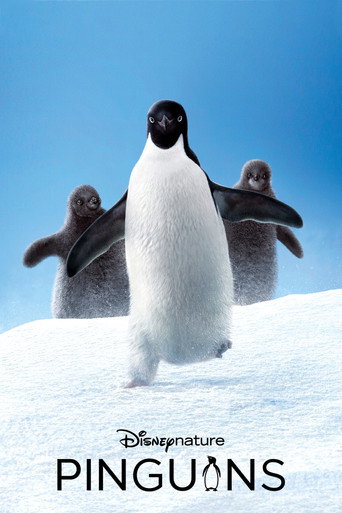 Poster de Pinguins