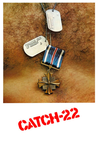 Poster de Ardil 22