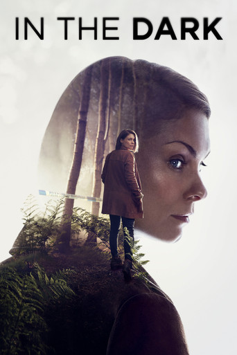 Poster de In the Dark