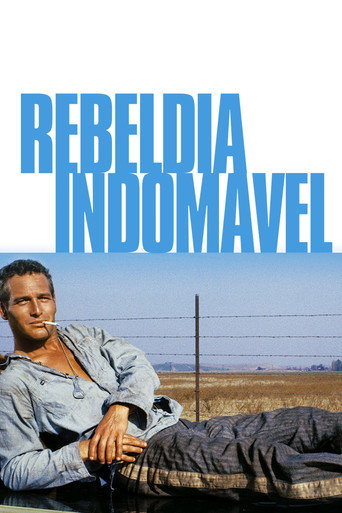 Poster de Rebeldia Indomável