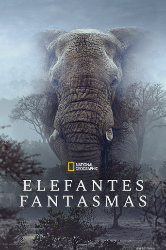 Poster de Elefantes Fantasmas
