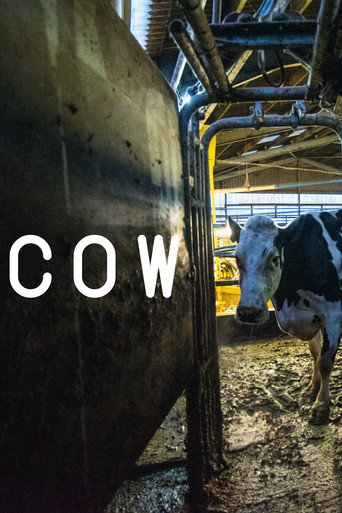Poster de Cow