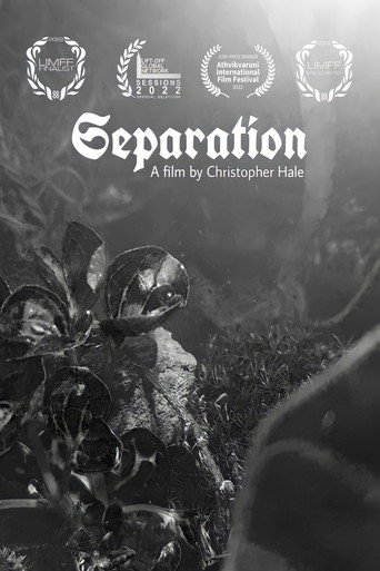 Poster de Separation