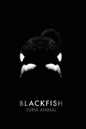 Poster de Blackfish: Fúria Animal