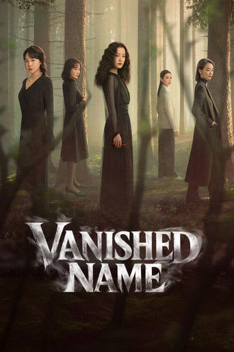 Poster de Vanished Name