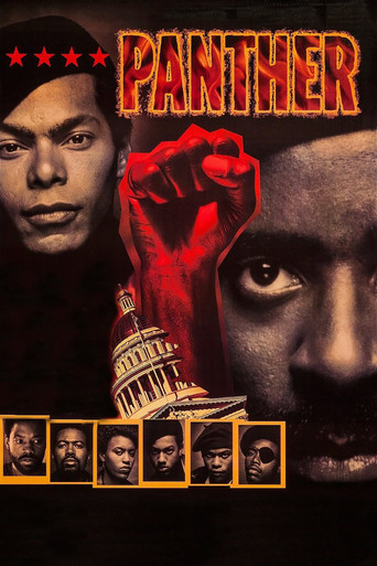 Poster de Panteras Negras