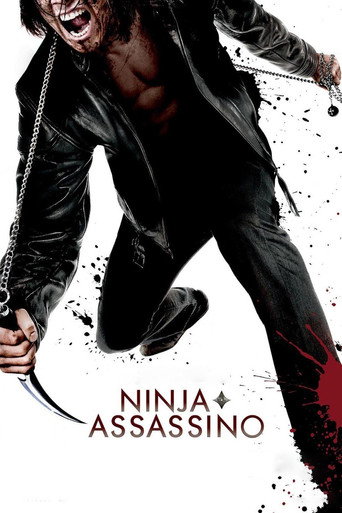 Poster de Ninja Assassino