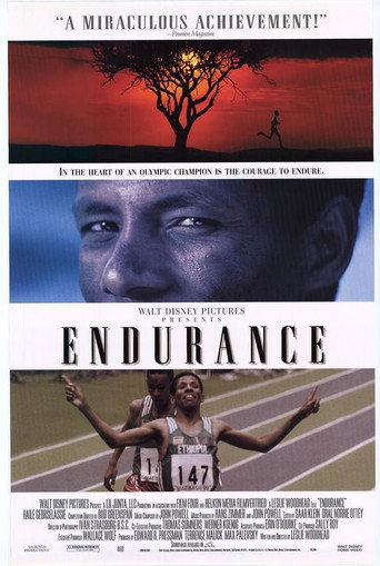 Poster de Endurance