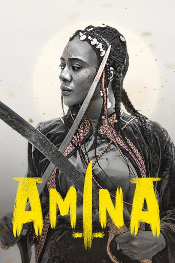 Poster de Amina