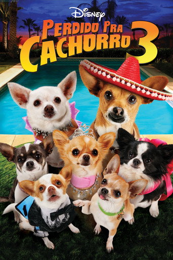 Poster de Perdido pra Cachorro 3