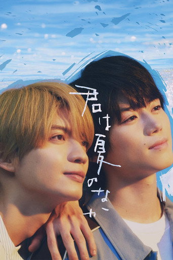 Poster de My Summer of You