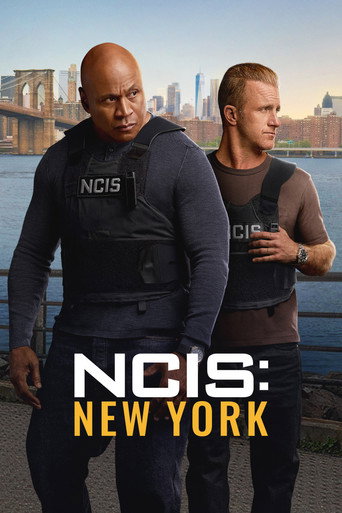 Poster de NCIS: New York