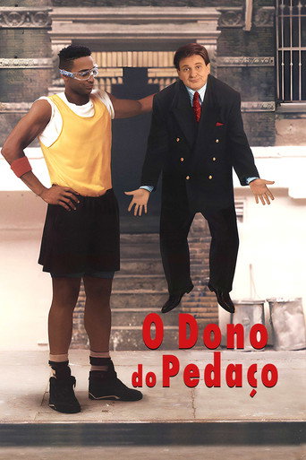 Poster de O Dono do Pedaço