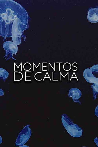 Poster de Momentos de calma