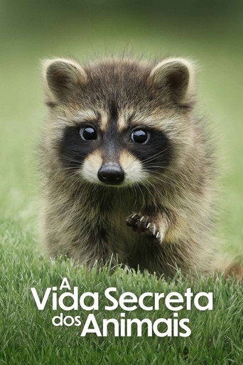 Poster de A Vida Secreta dos Animais